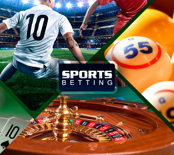 Exploring the Features and Benefits of bd333 bet