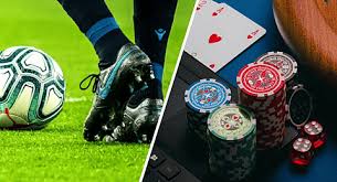 Exploring the Features and Benefits of bd333 bet